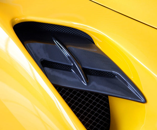 Capristo Carbon Fibre Air Intake Panels - Durable Design