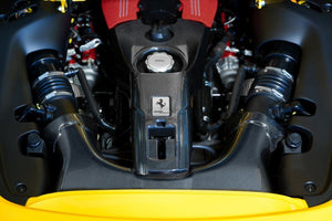 Ferrari 488 – Carbon Airbox and Lock Cover Set